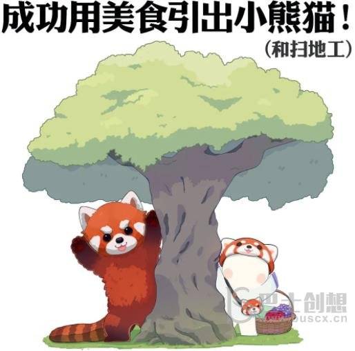 阴阳师守护的契约小熊猫公益活动怎么获得 守护的契约小熊猫速通玩法