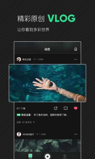 爱奇艺随刻APP