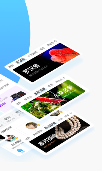 龙巅APP