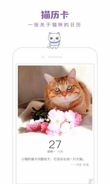 一日猫app