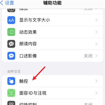 iOS怎么轻点手机背后打开健康码