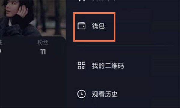 抖音抖币明细怎么查询