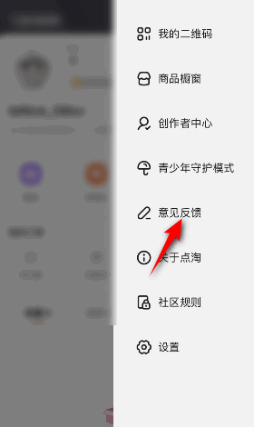 点淘怎么意见反馈？点淘意见反馈教程图片2